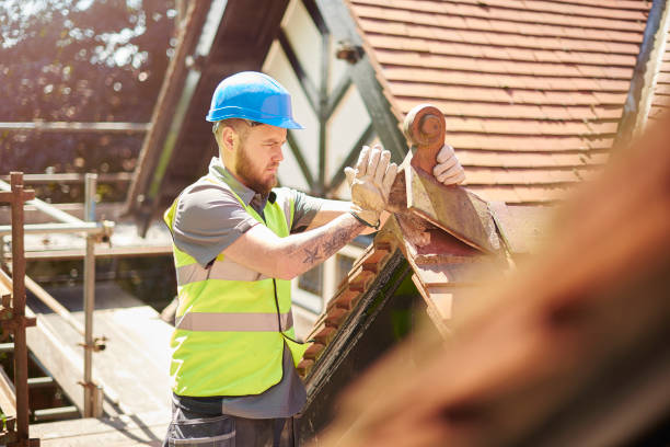 Best Roof Gutter Cleaning  in Mayo, FL